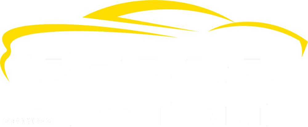 Lewarek, dźwignia zmiany biegów Renault Megane III - 4