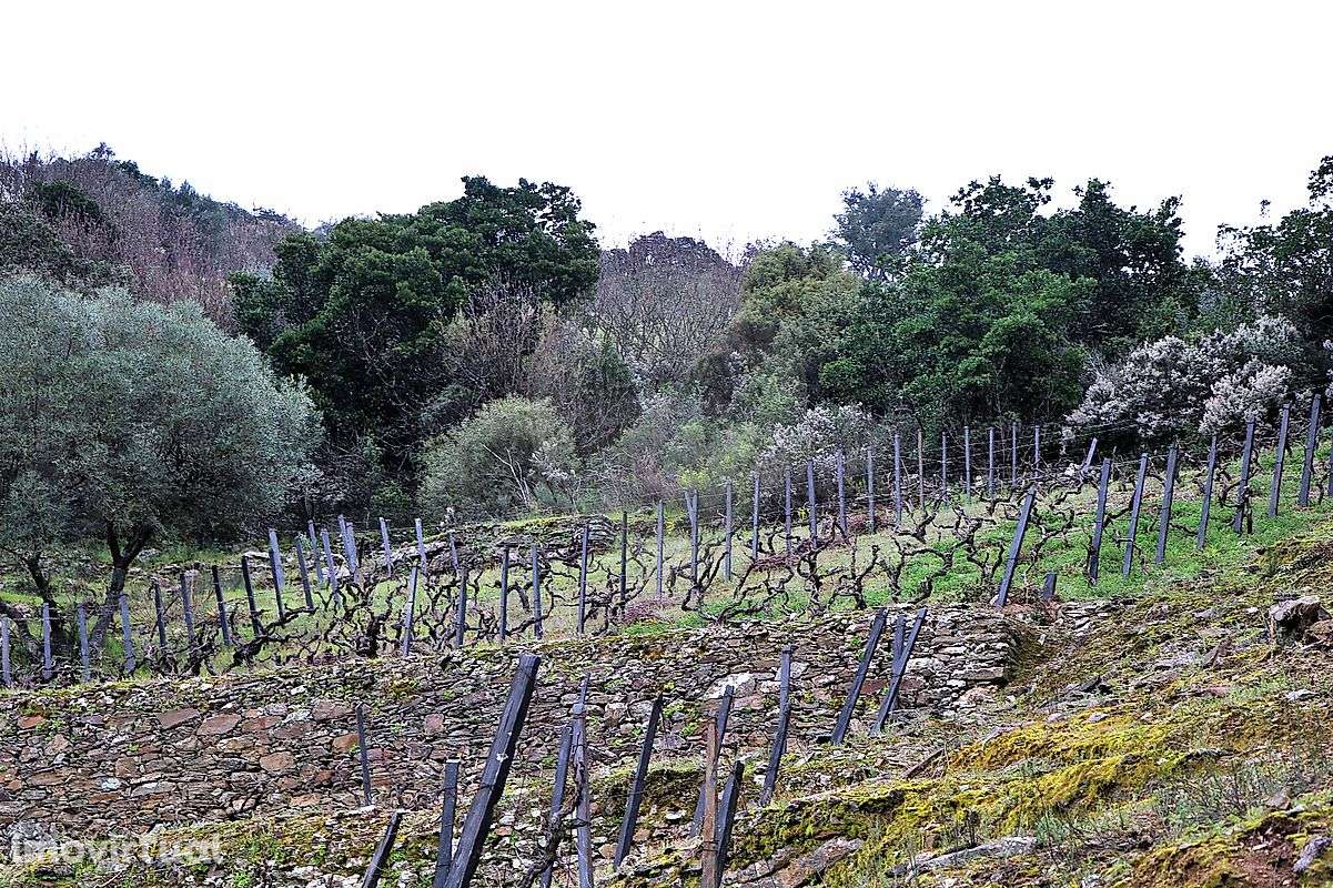 Terreno  para venda - Grande imagem: 5/11