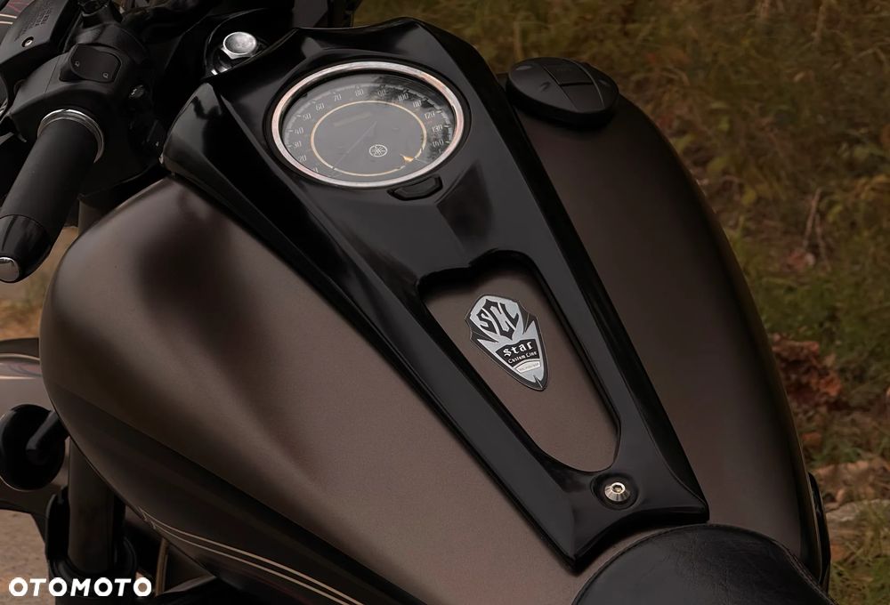 Yamaha Raider - 19