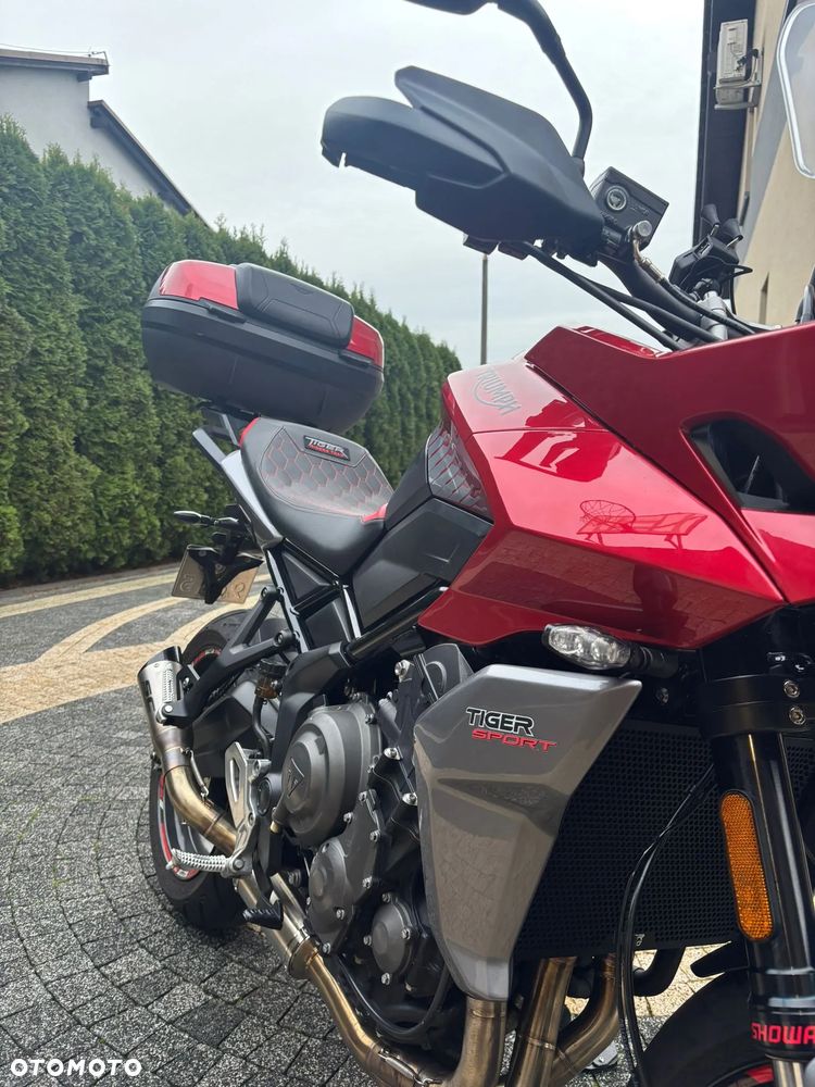 Triumph Tiger - 10