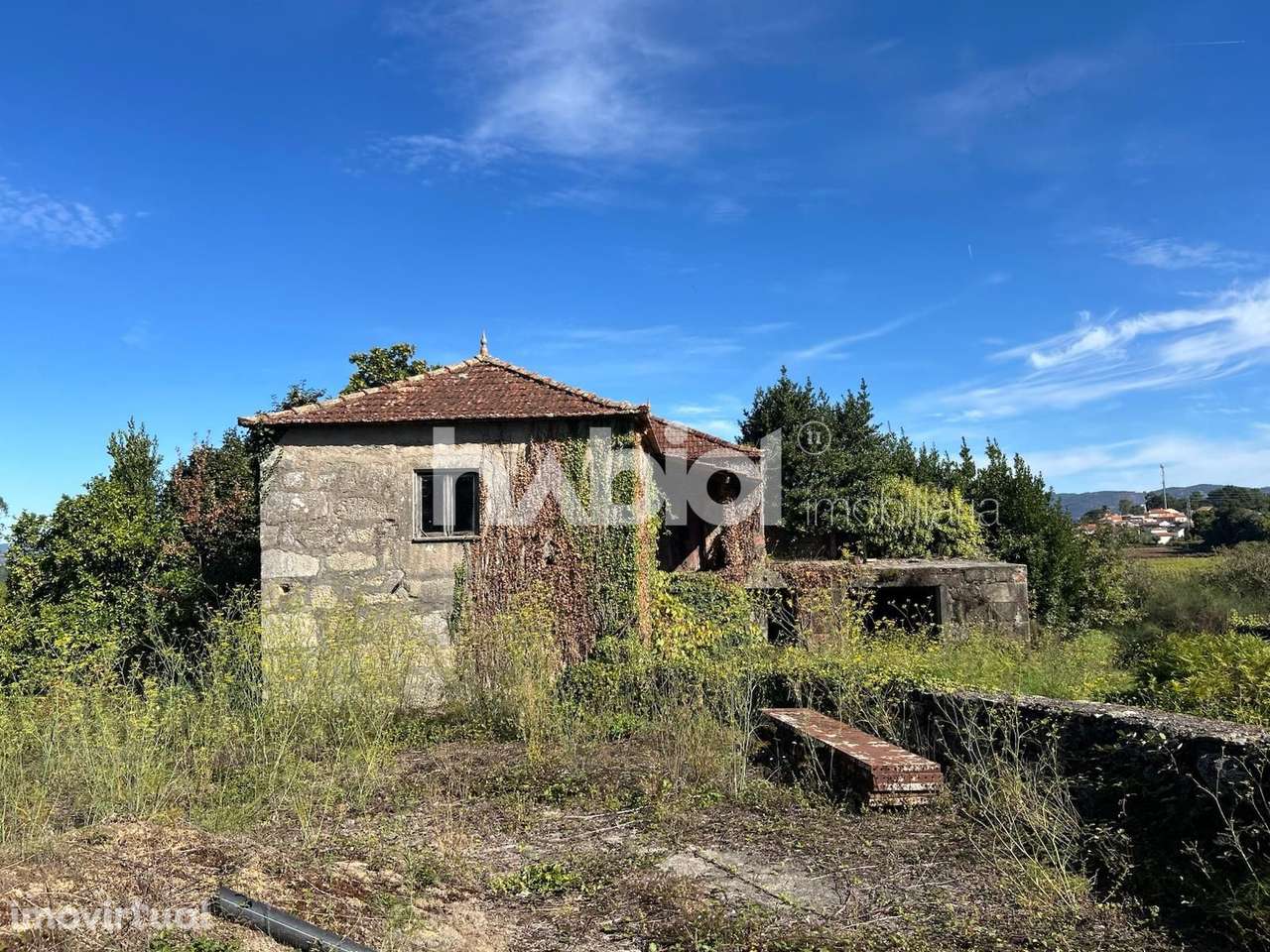 Quinta em Forjães, moradia com 3 quartos e terreno com 10.000m2 - Grande imagem: 2/11