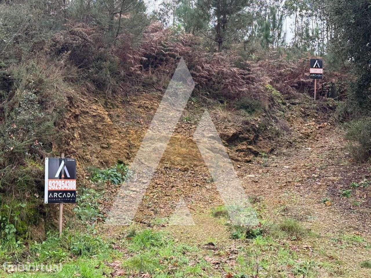 Terreno localizado no vale da Cova em Nogueira do Cravo! - Grande imagem: 5/14