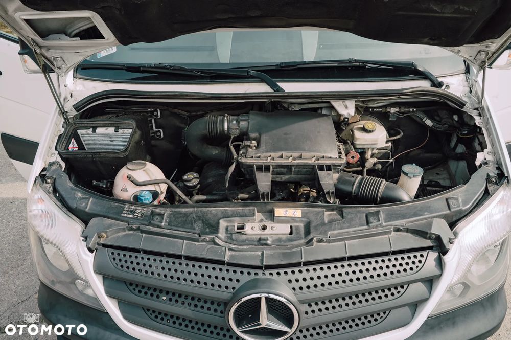 Mercedes-Benz 519 - 36