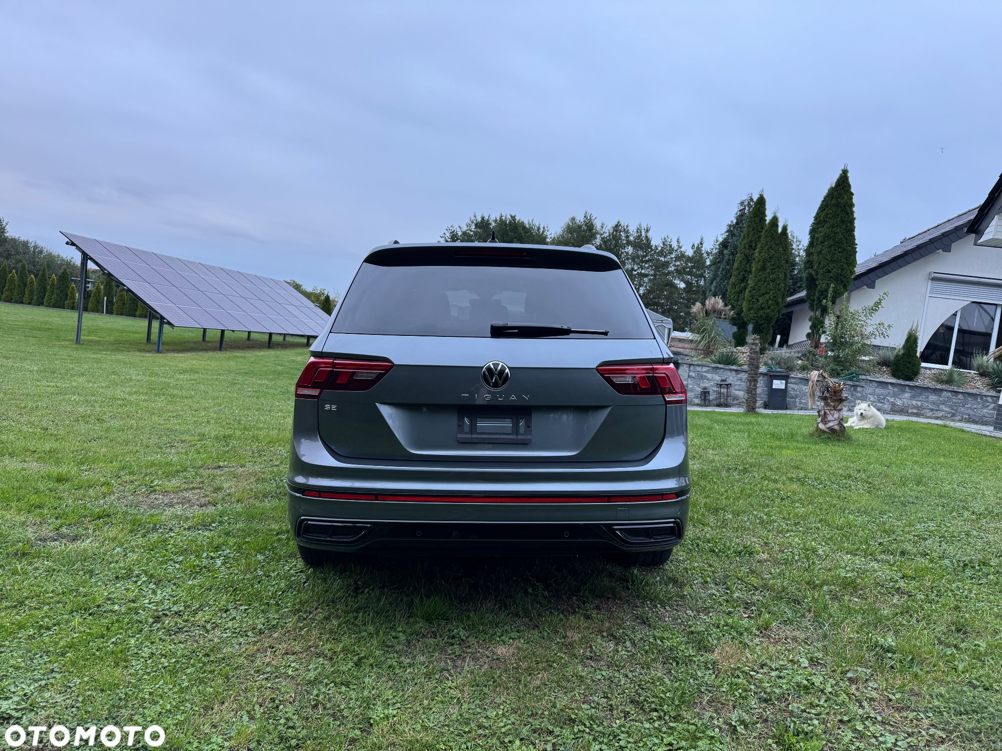 Volkswagen Tiguan - 4