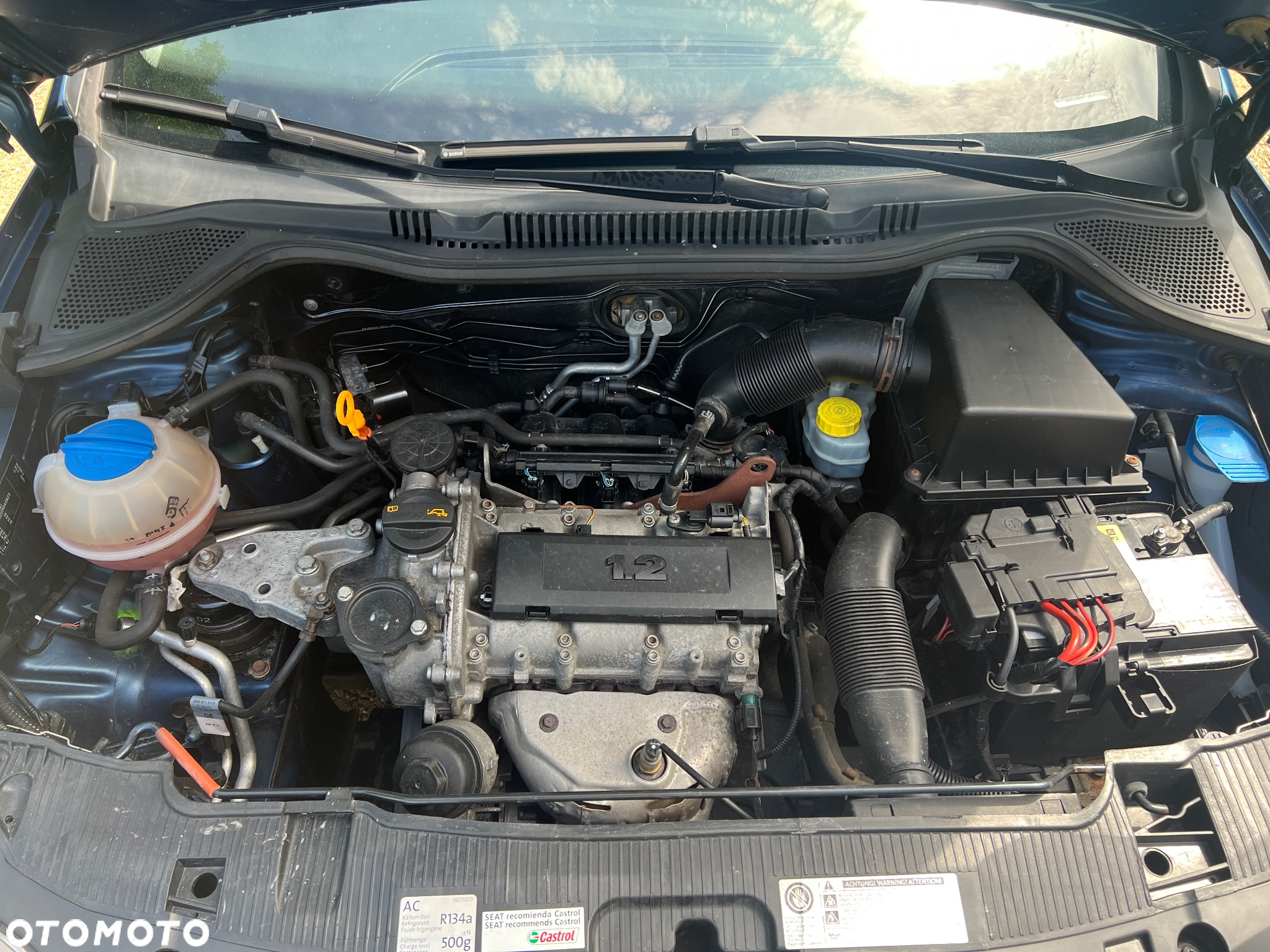 Seat Ibiza 1.2 Entry - 23
