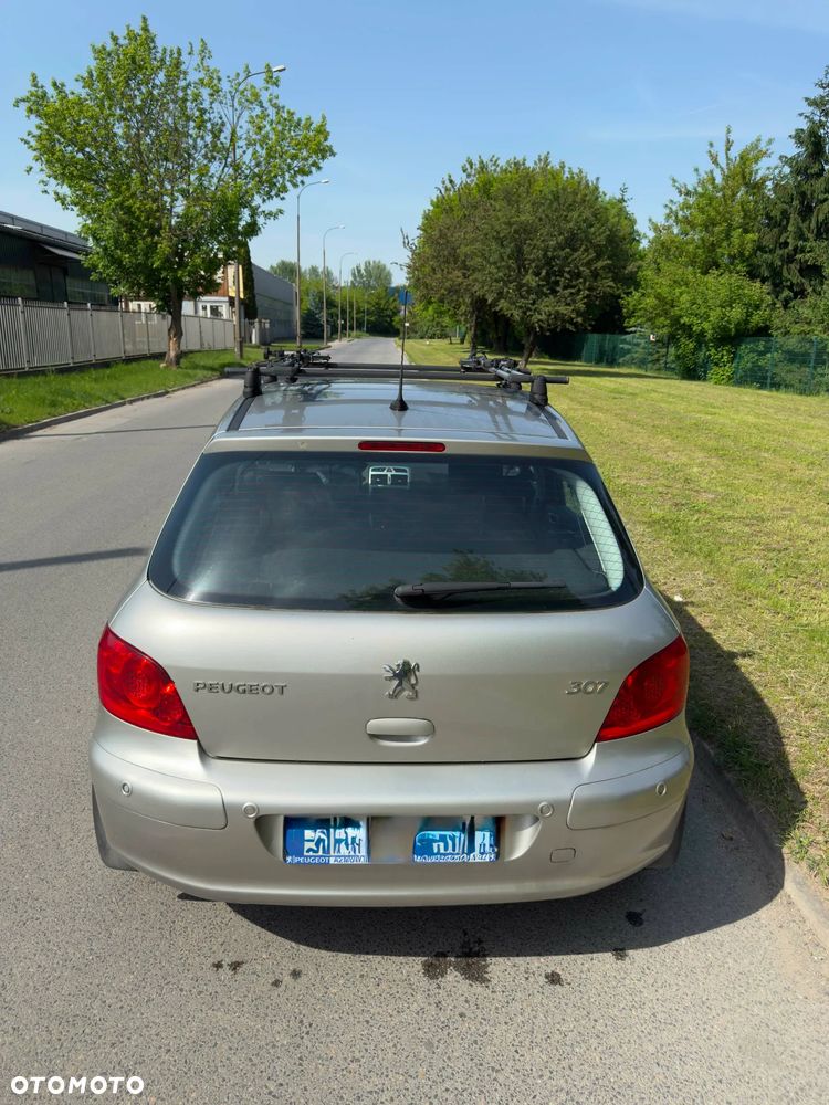 Peugeot 307 1.6 Oxygo - 12