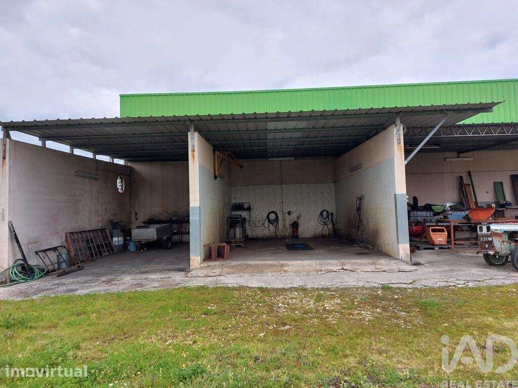 Loja / Estabelecimento Comercial T3 em Cantanhede e Pocariça de 828,00 - Grande imagem: 5/11