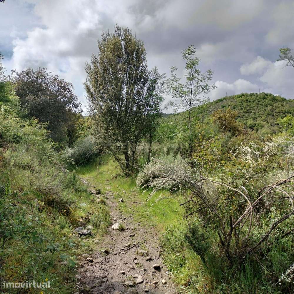 Terreno de 4.500 m² em Meixedo, Bragança — uma oportunidade para um pr - Grande imagem: 4/7
