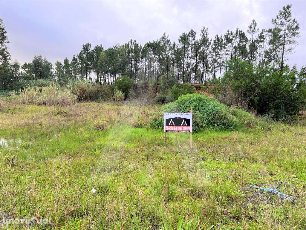 Lote de terreno para construção no Carregal, Requeixo - Grande imagem: 2/10
