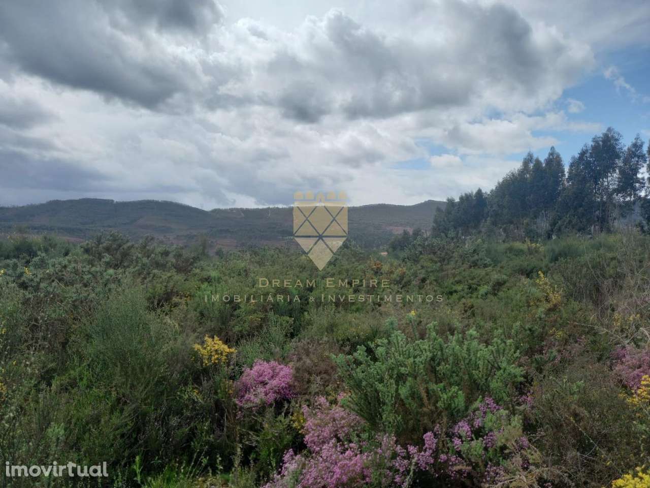 Terreno com Excelente Localização e Elevado Potencial – 36.000 m² - Grande imagem: 4/10