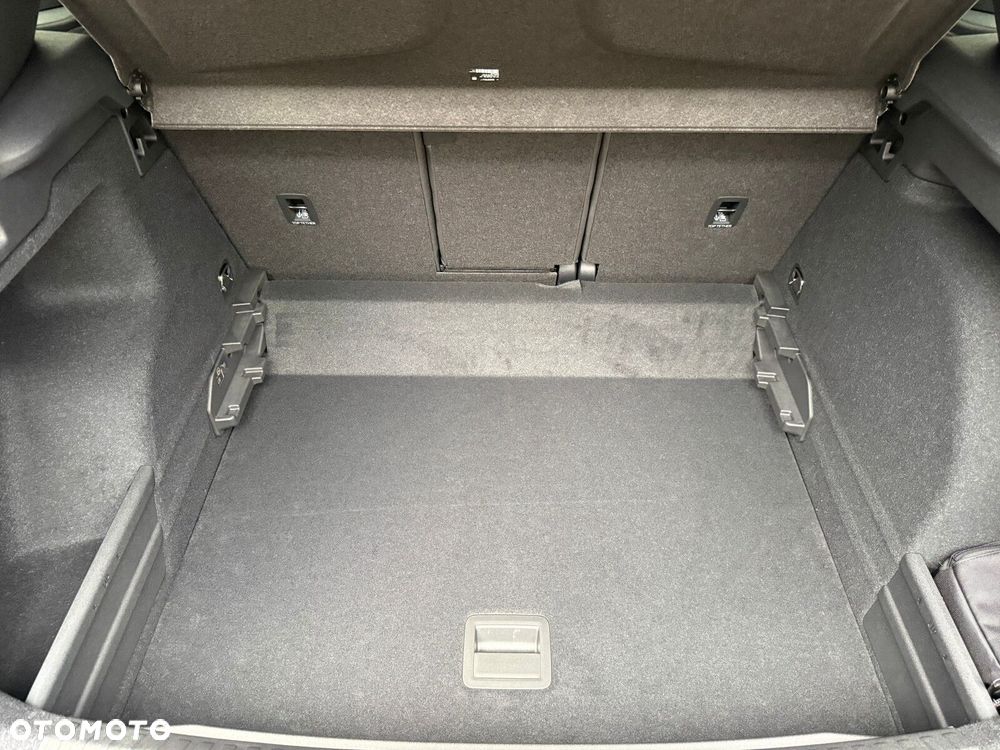 Cupra Terramar 2.0 TSI 4Drive DSG - 30