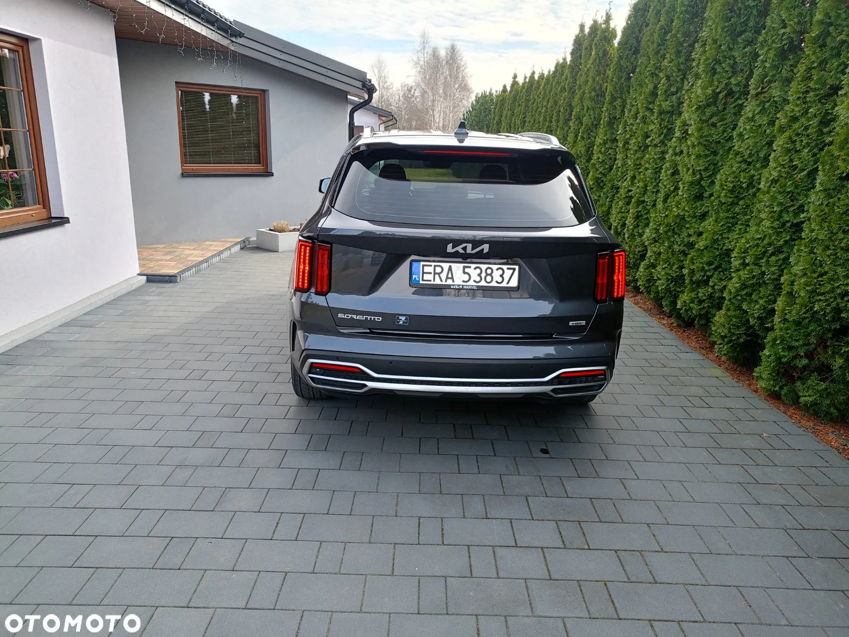Kia Sorento 1.6 T-GDI HEV M 7os - 3