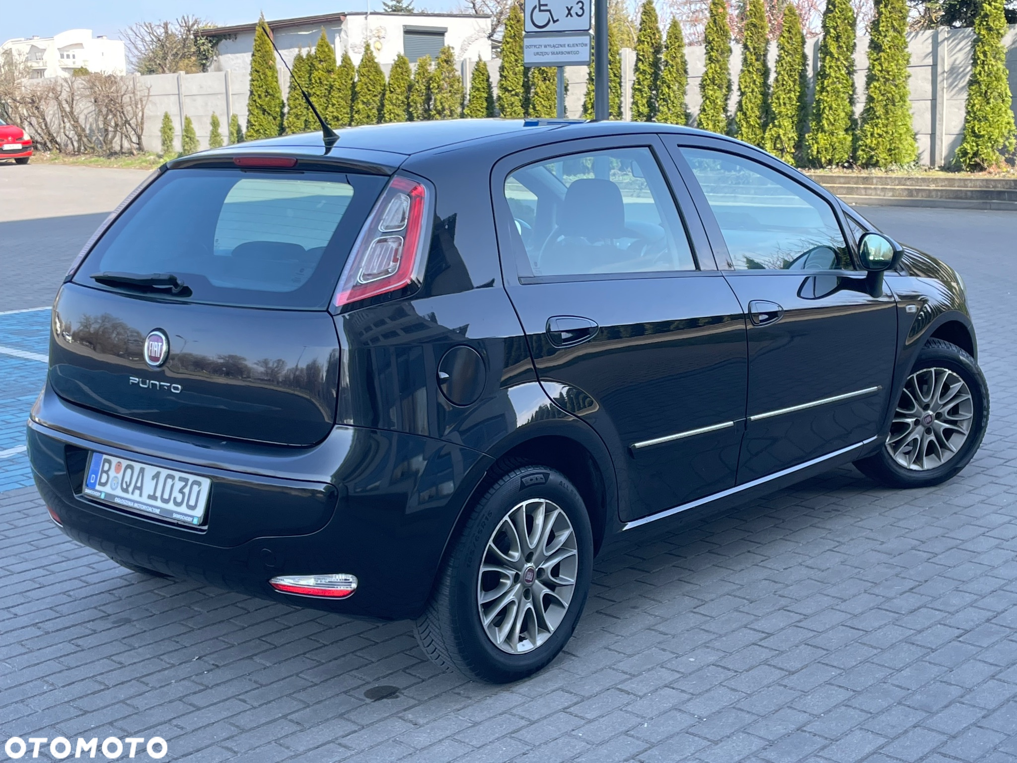 Fiat Punto Evo 1.2 8V MyLife Start&Stop - 2