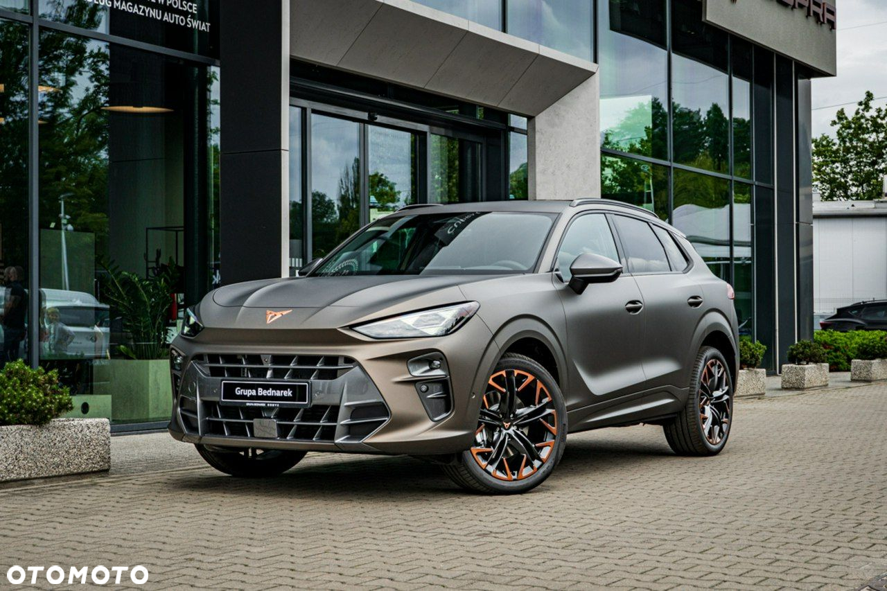 Cupra Terramar - 4