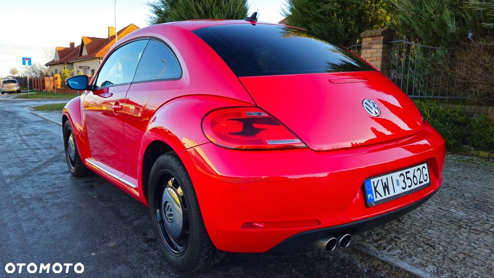 Volkswagen Beetle - 14