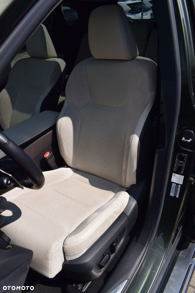 Lexus RX - 16