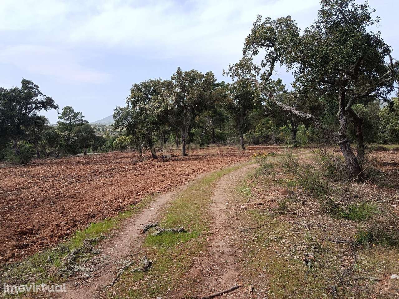 Terreno Rústico com 1.6ha Monfortinho - Grande imagem: 2/20