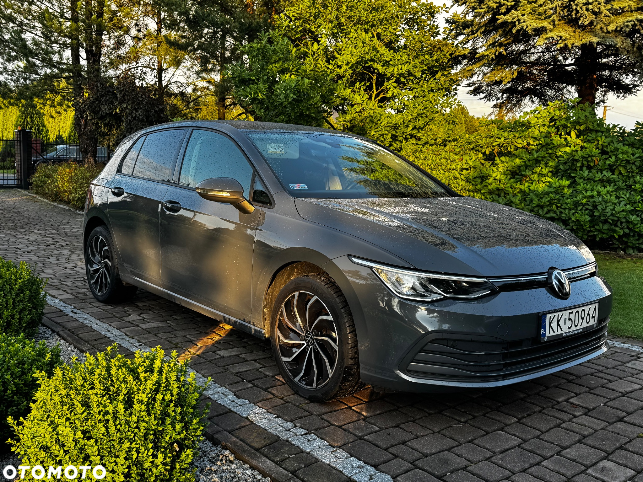 Volkswagen Golf VIII 1.0 TSI Life - 7