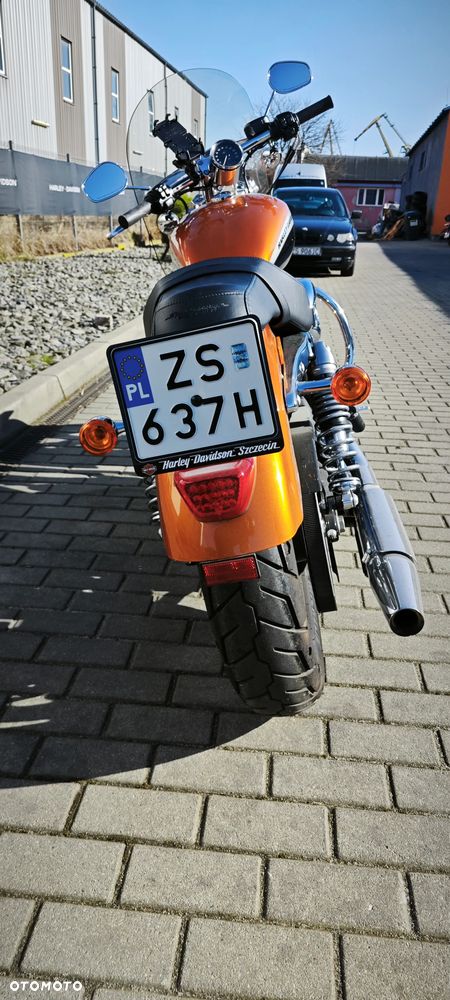 Harley-Davidson Sportster Custom 1200C - 4