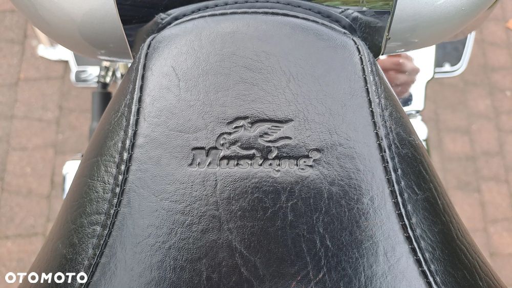 Harley-Davidson Softail Fat Boy - 14