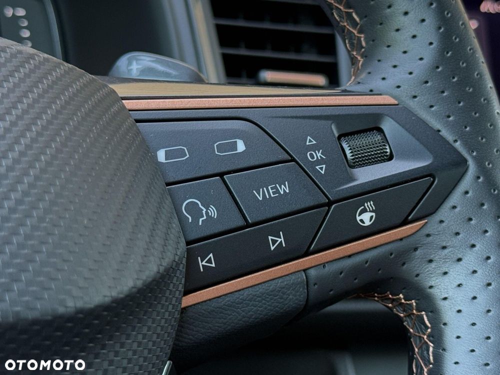 Cupra Ateca - 20