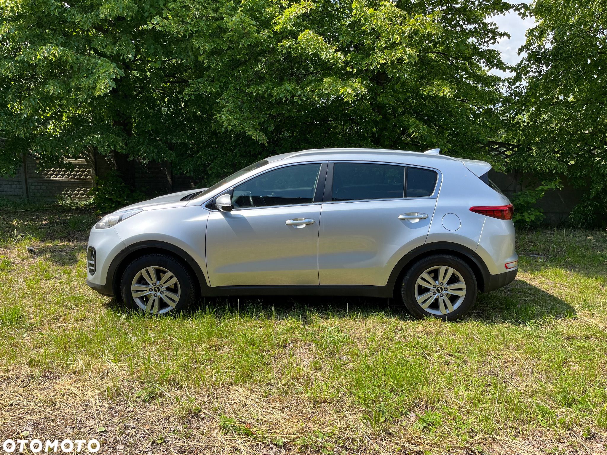 Kia Sportage - 1