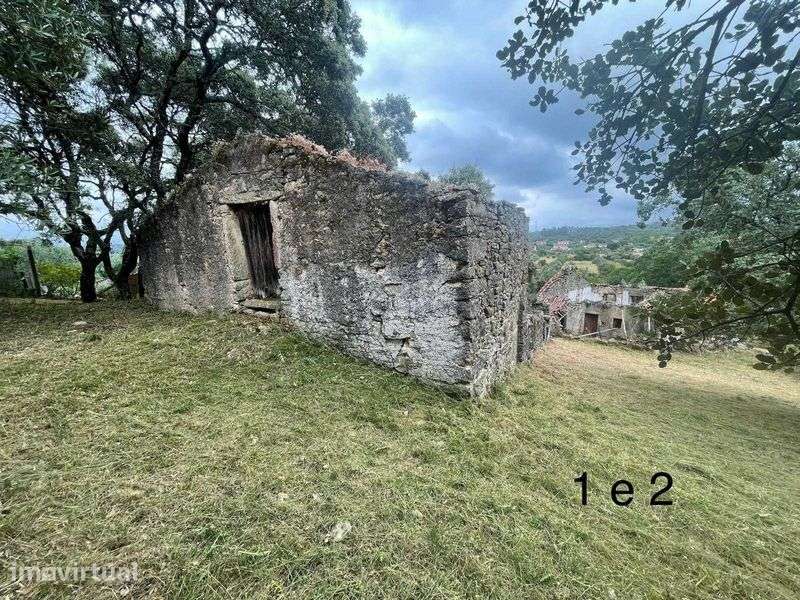 Terreno com duas ruinas - Grande imagem: 3/11