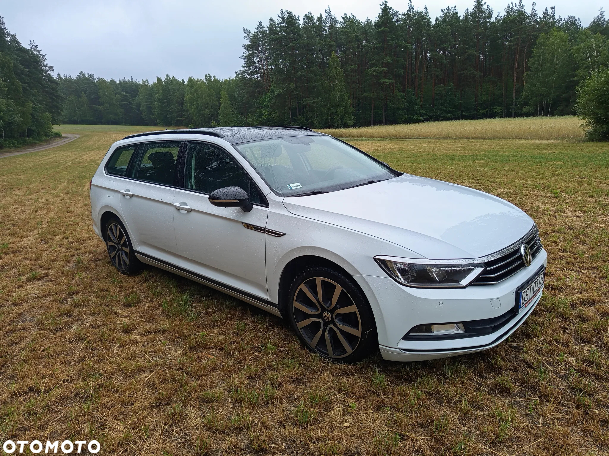 Volkswagen Passat - 2