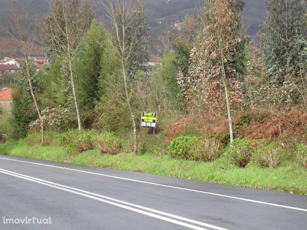 Terreno em Arca- Ponte de Lima - Grande imagem: 2/6