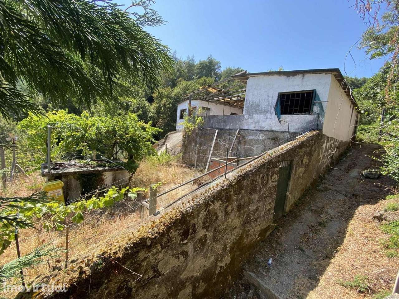 Imóvel Singular sobre Penedo – Santa Comba Dão - Grande imagem: 3/34