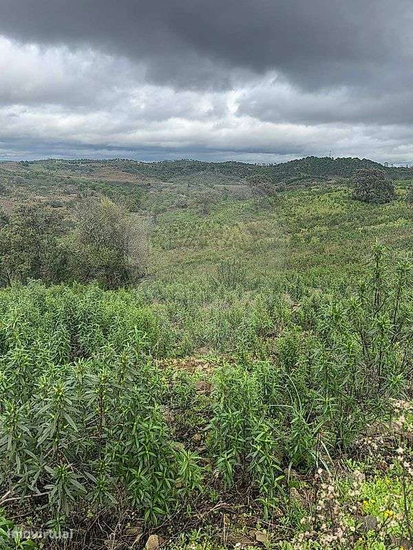 Terreno  para venda - Grande imagem: 2/10