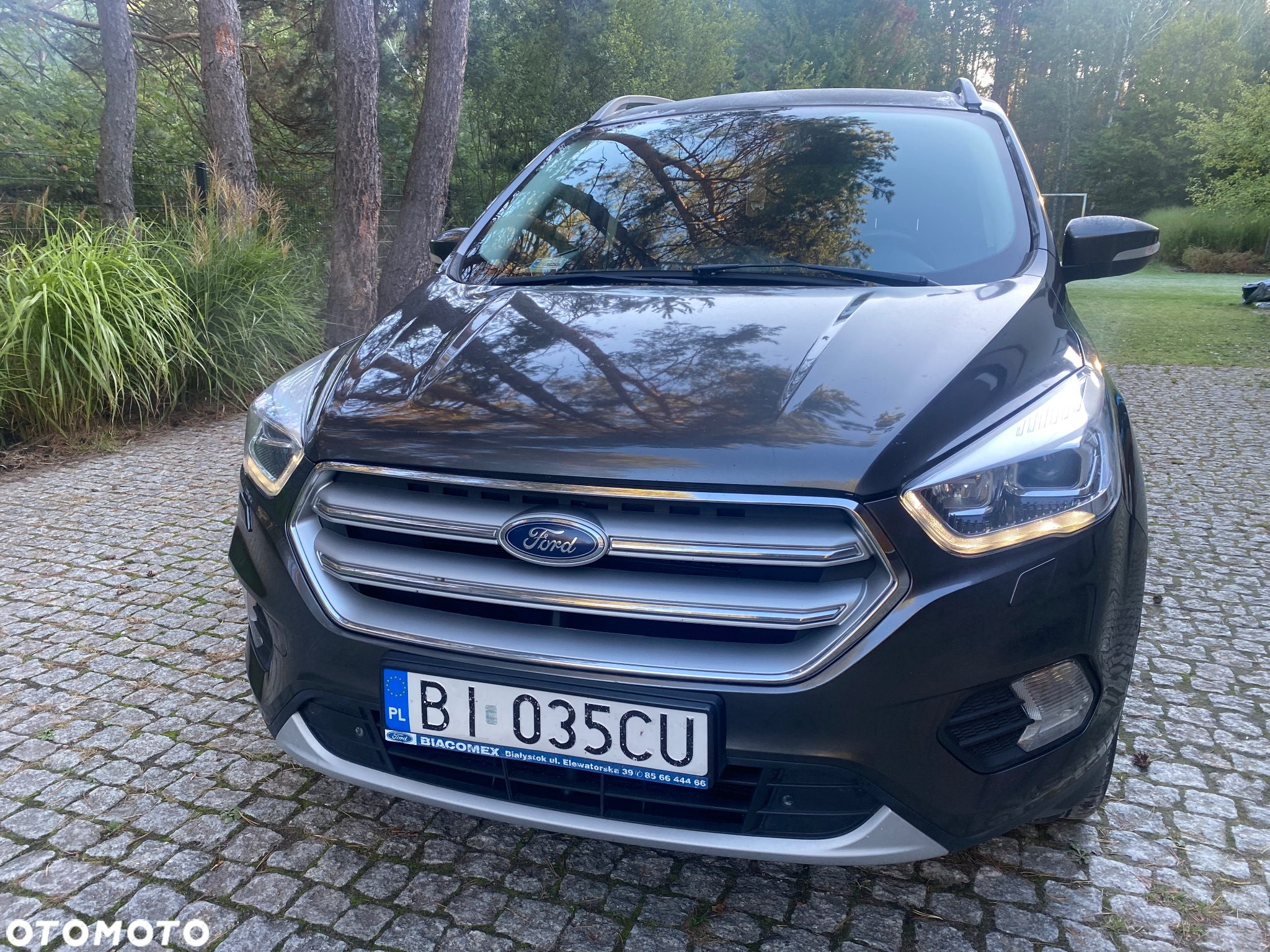 Ford Kuga 1.5 EcoBoost FWD Titanium ASS GPF - 16