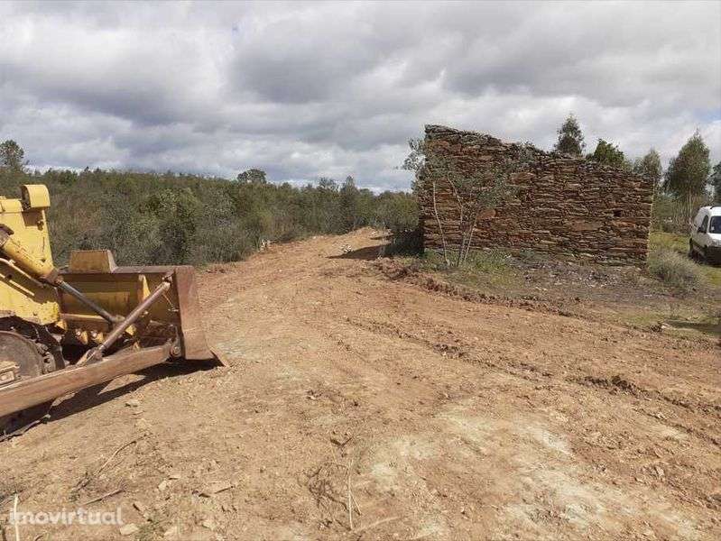 Propriedade Barro do Cocharro sito ao Compasso - Grande imagem: 4/8