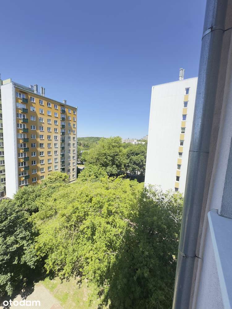 Mieszkanie w centrum w pobliżu parku saskiego