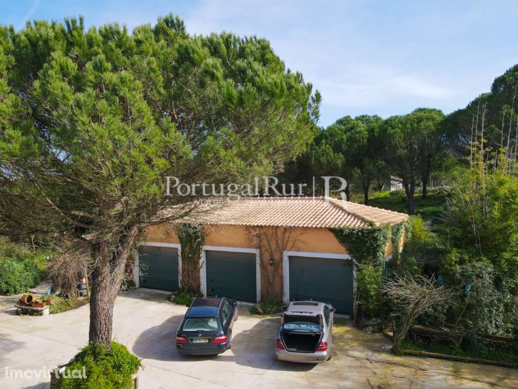 Quinta com 16 ha e moradia a 15 min. das praias - Grande imagem: 4/60