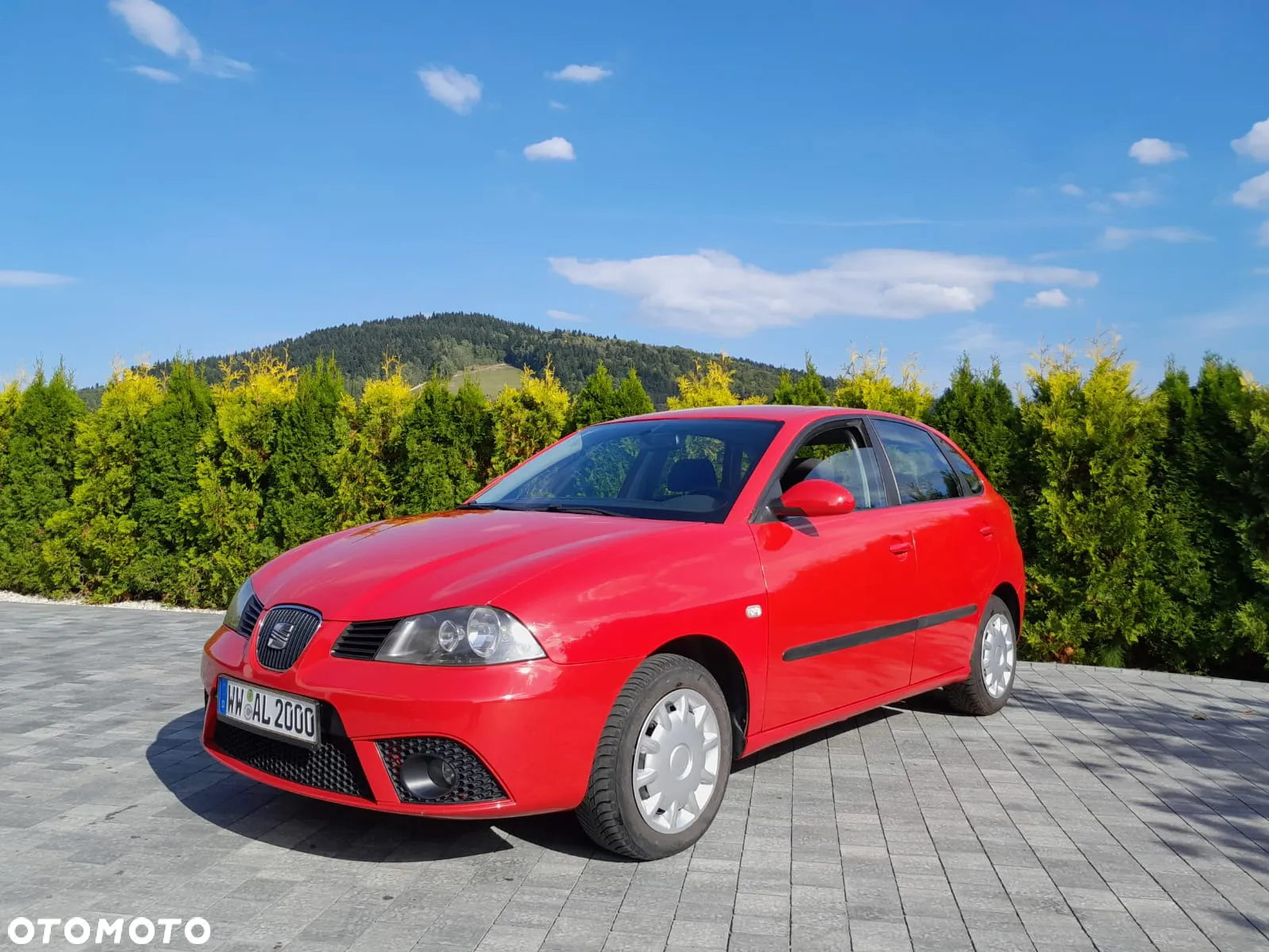 Seat Ibiza 1.9 TDI Sport - 6