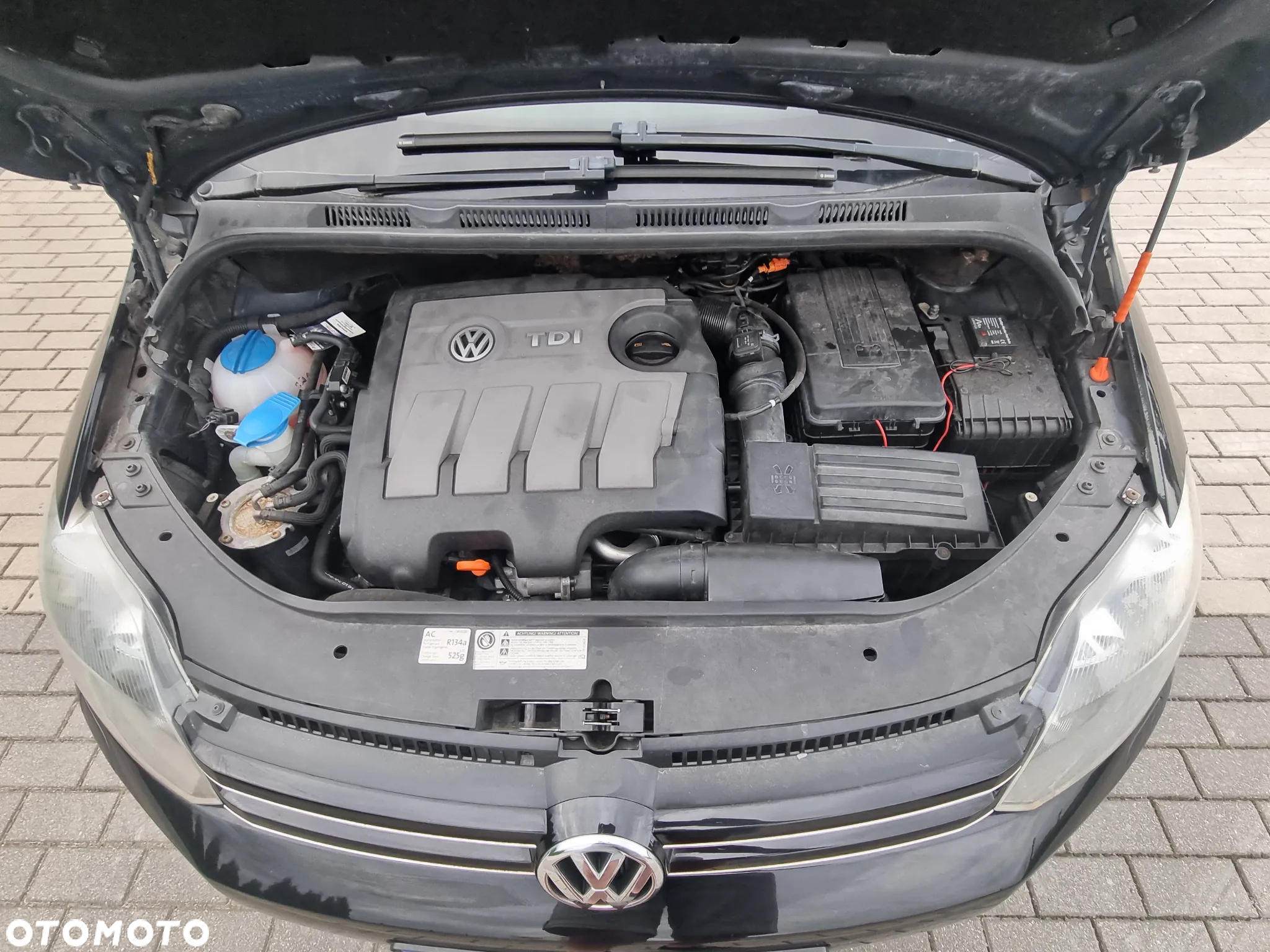 Volkswagen Golf Plus Plus1.6 TDI DPF BlueMotion Technology Style - 17