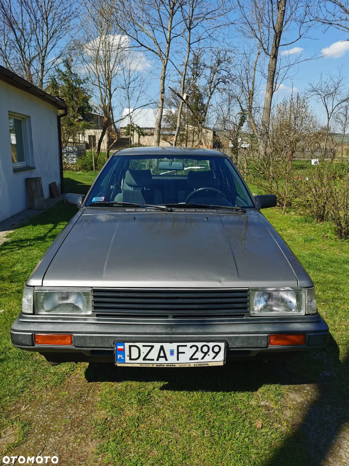 Nissan Cherry - 2