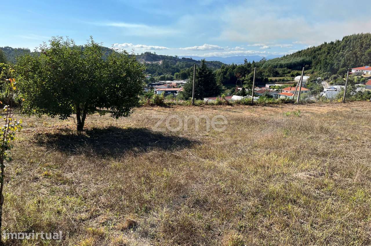 TERRENO 1.600m2 ESTE S. MAMEDE - Grande imagem: 5/25
