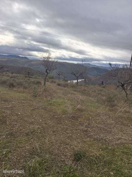 Terreno rústico em sequeiros - Grande imagem: 4/8