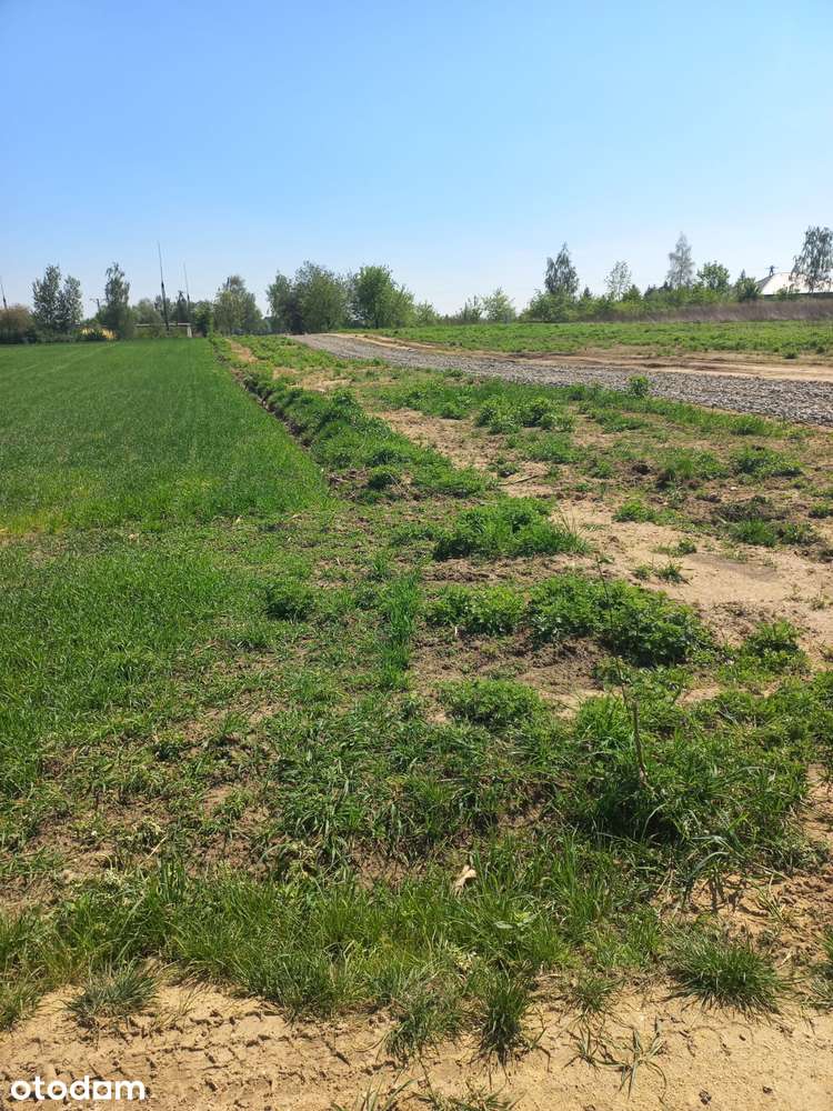 Działka 2752 m2 ul.Wiosenna , zabudowa jednorodzinna z usługami - Pełny obrazek: 4/4