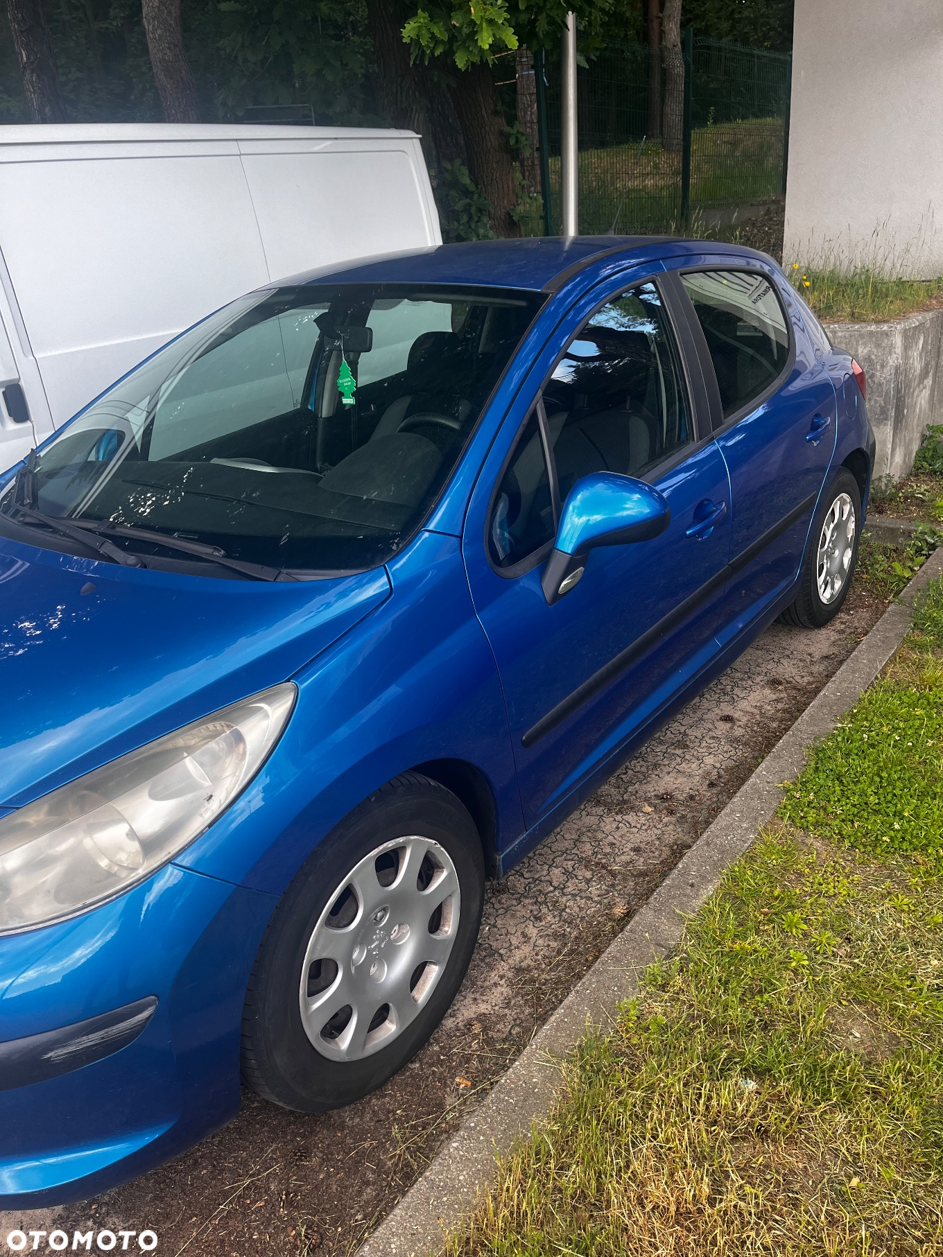 Peugeot 207 - 15