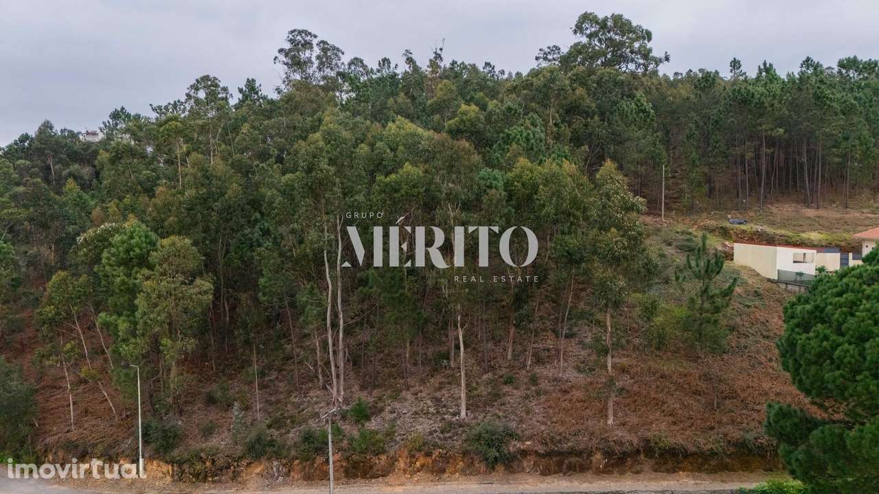 Terreno de construção às portas de Barcelos - Grande imagem: 4/17