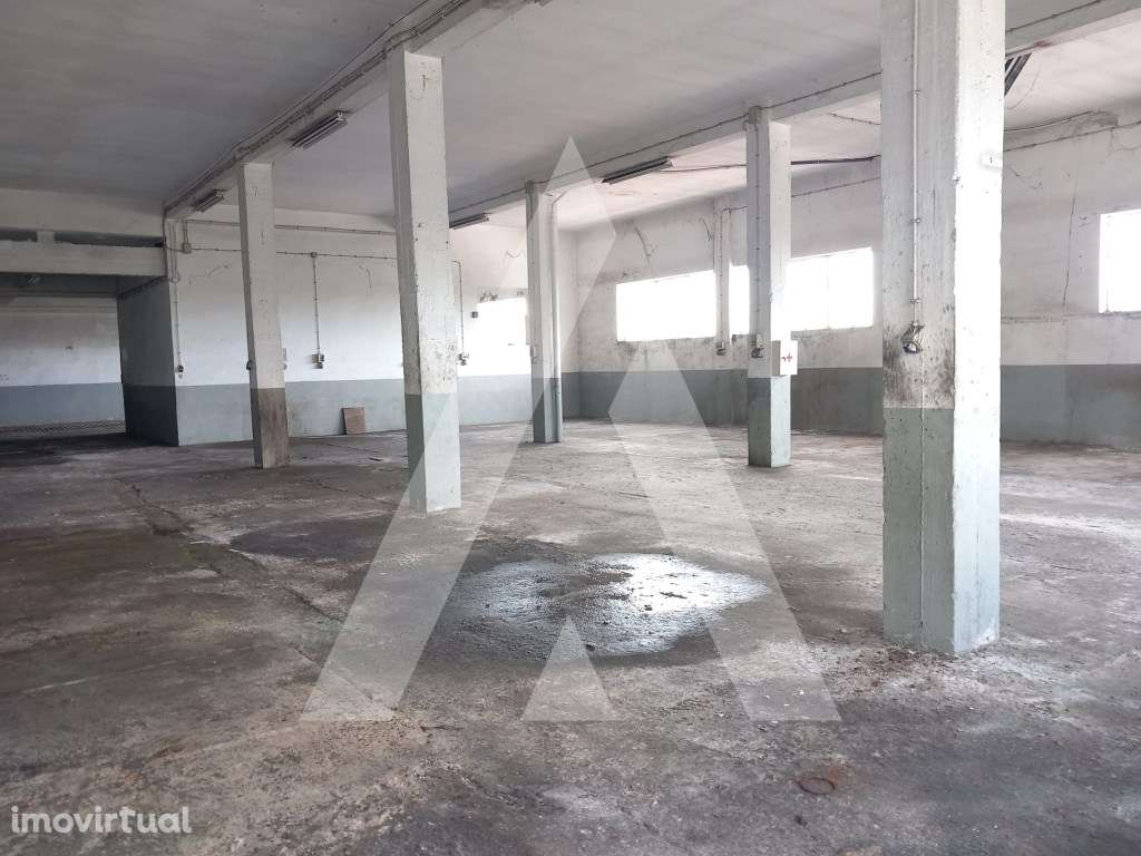 Armazém em Macieira de Cambra - Vale de Cambra - Grande imagem: 4/16