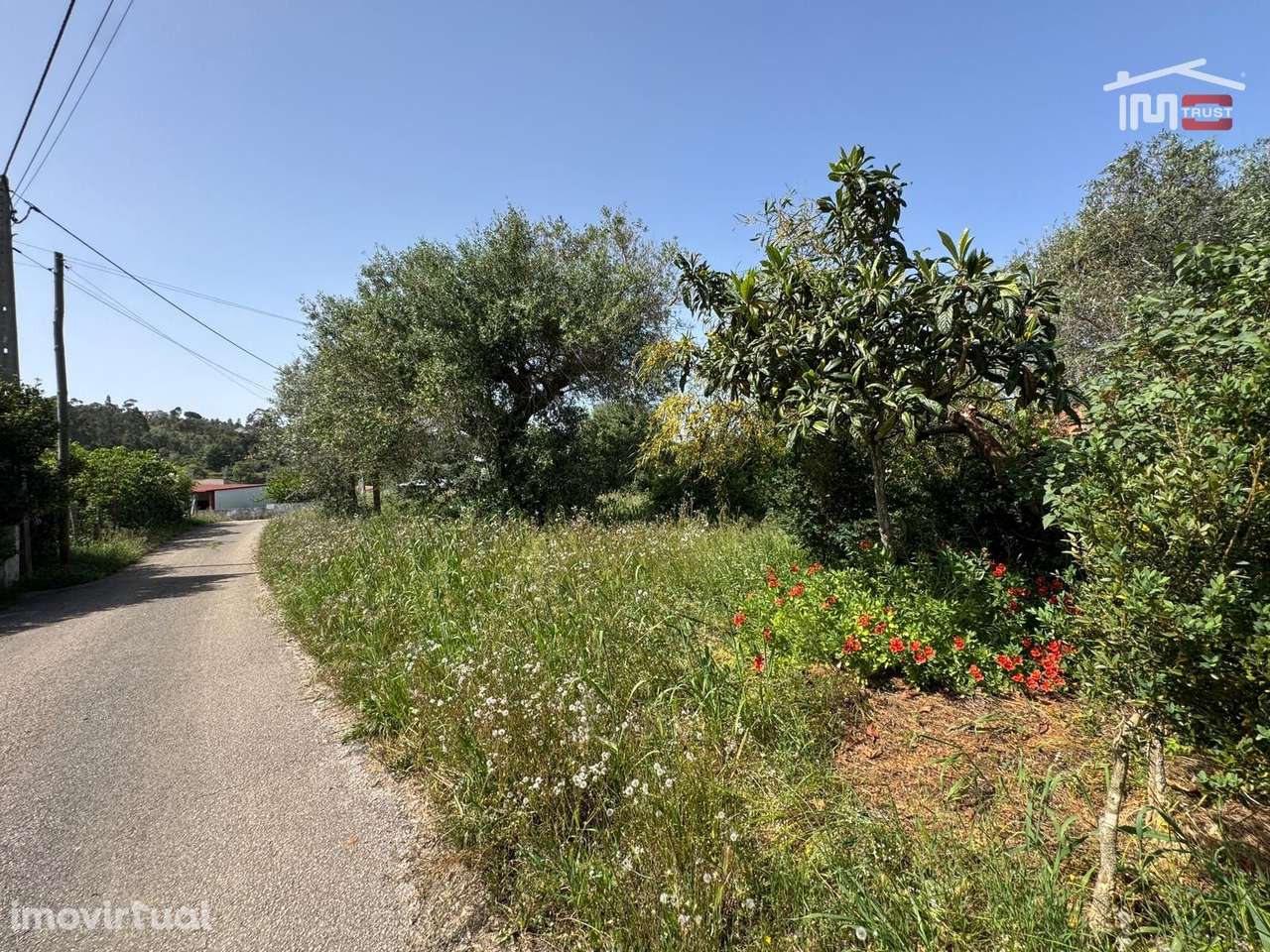 TERRENO PLANO PARA CONSTRUÇÃO COM 720 m² NA BESELGA (TOMAR) A 600 m... - Grande imagem: 3/28