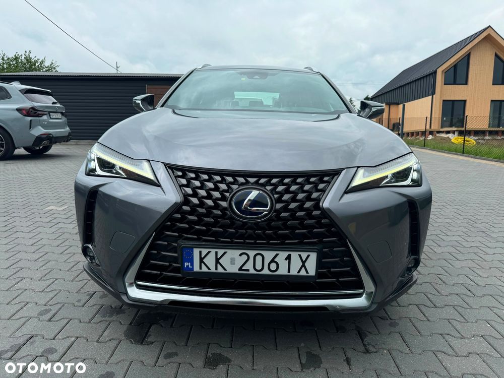 Lexus UX 250h GPF Business Edition AWD - 2