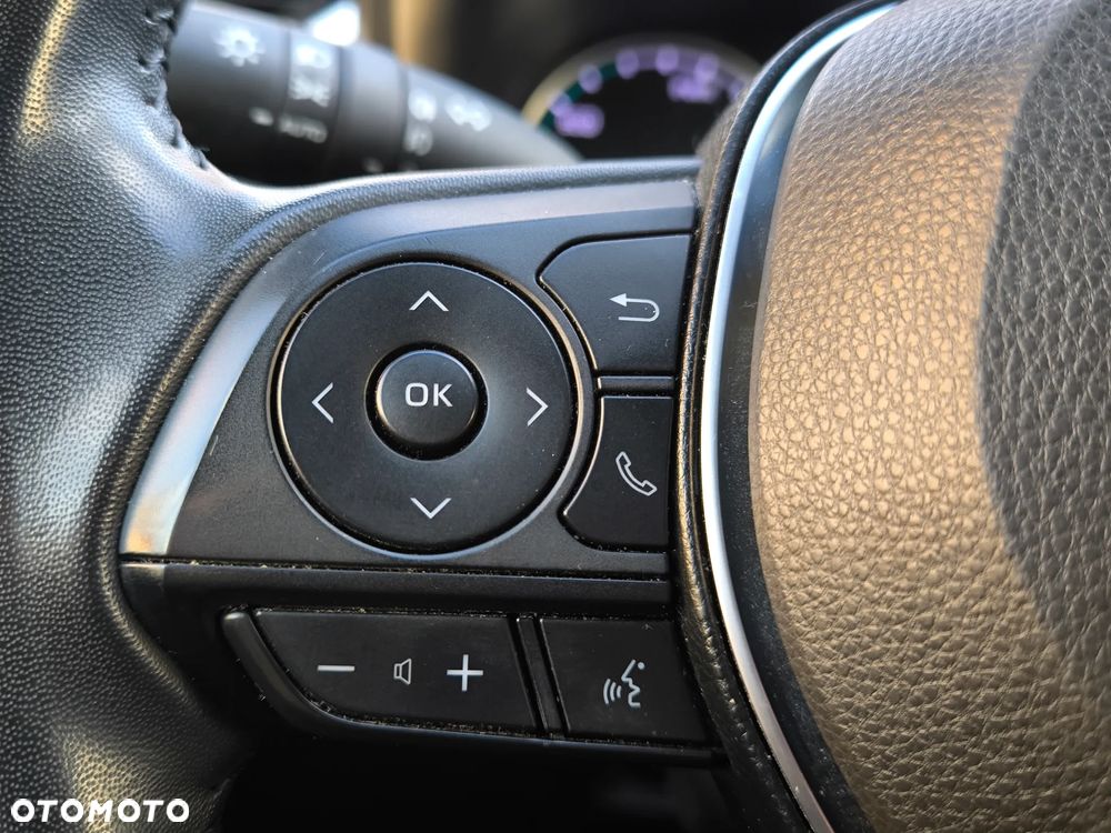 Toyota RAV4 2.5 Hybrid Comfort 4x2 - 24