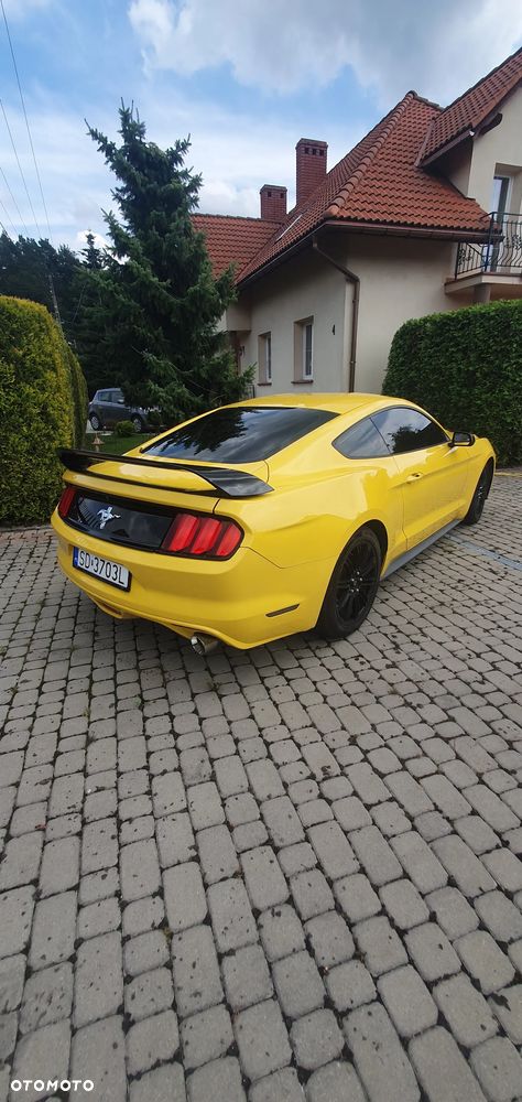 Ford Mustang - 10