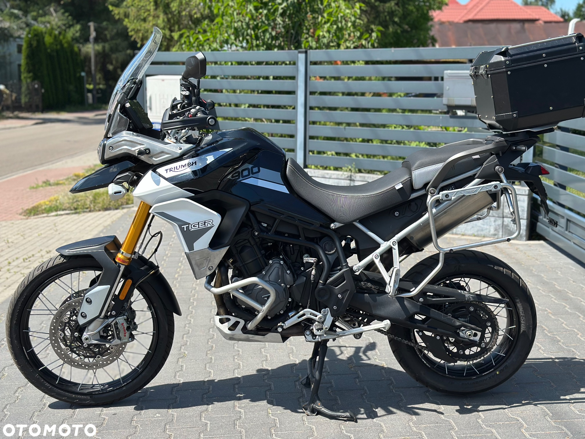 Triumph Tiger - 12