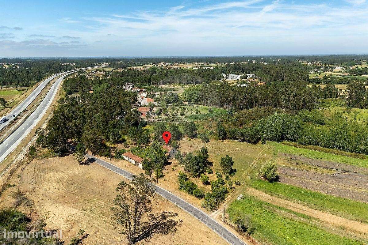 Moradia para Recuperar com 10.430 m² de Terreno | Bizarros, Cantanhede - Grande imagem: 2/26